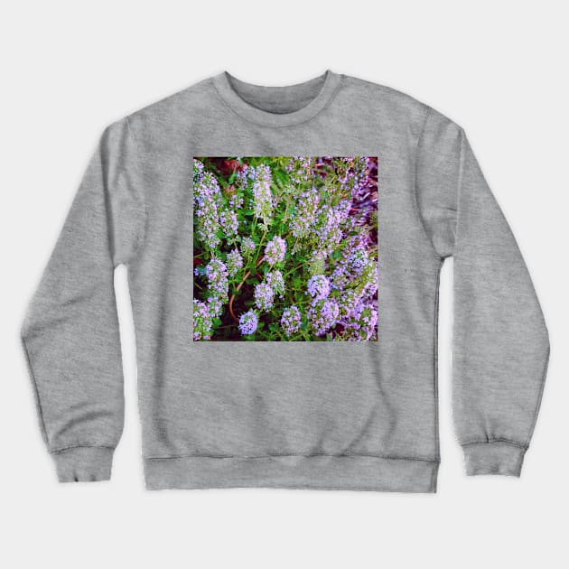 Flowering Thyme Plant Crewneck Sweatshirt by EdenLiving